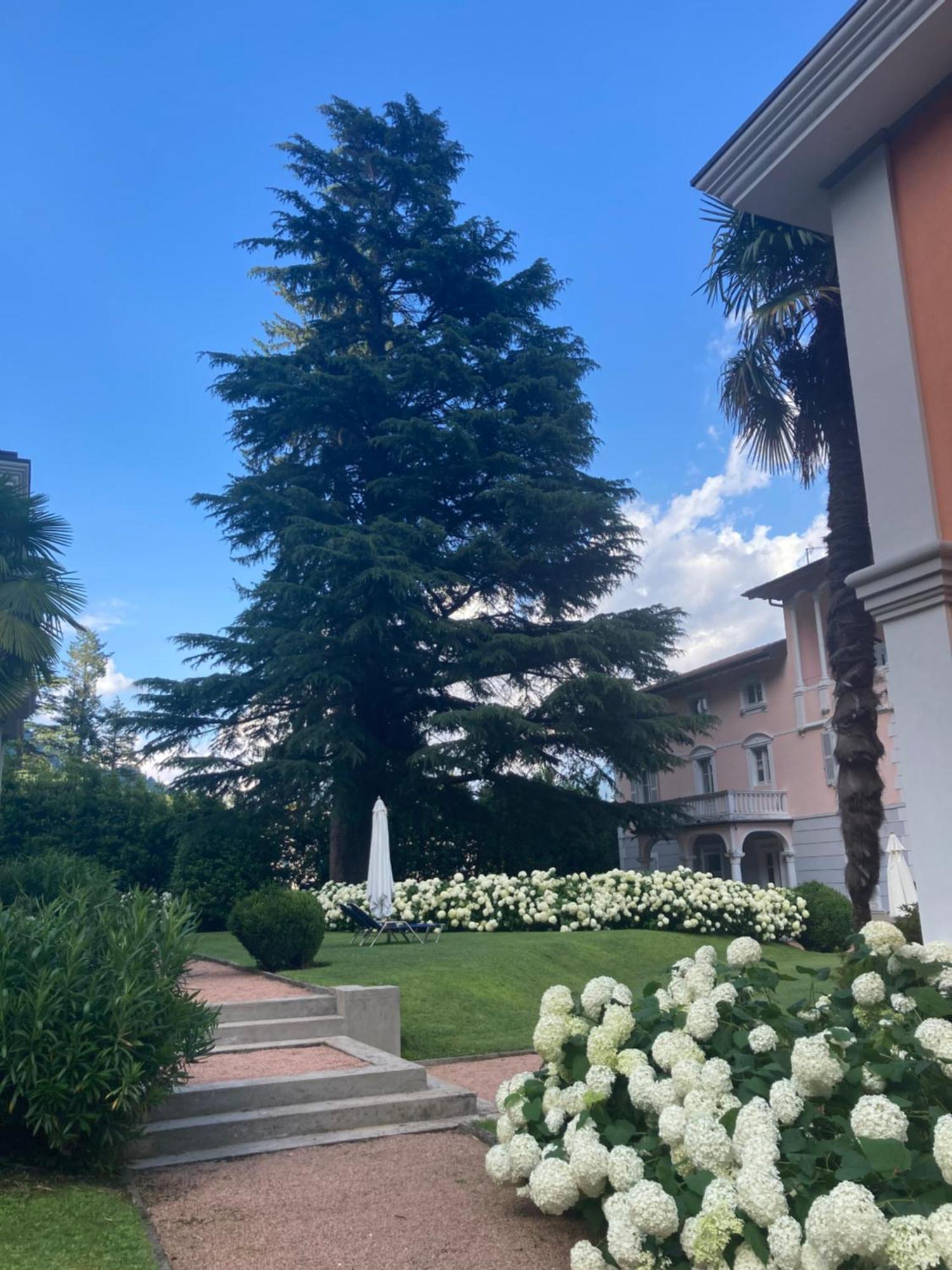 Ville Lago Lugano Порто-Черезио Экстерьер фото